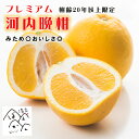 プレミアム河内晩柑【樹齢20年以上限定!】みため〇美味しさ◎ お中元 ギフト 贈答 甘い 果物 フルーツ 箱買い 3kg/5kg/7kg/10kg L/2L/3...