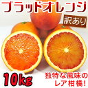 ブラッドオレンジ10kg「5kg×2箱」 訳あり S-2L モロ タロッコ 香りと強い甘さで濃厚な食味です♪ 産地直送セール 愛媛県産