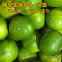 【早期予約で300円OFF】愛媛県産 極早生 小玉ミカン 秀品 2S-S みため〇 おいしさ◎ ギフト 家庭用【送料無料】 北海道・沖縄は除く