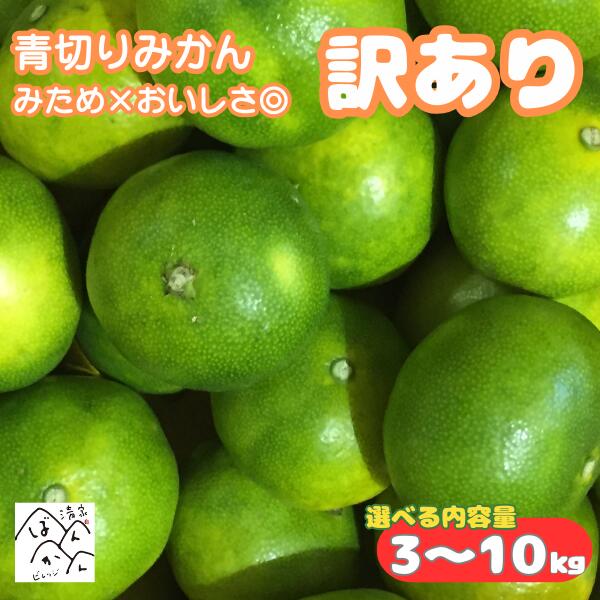 愛媛県産 青切りみかん（極早生みかん） 訳あり 3kg 5kg 10kg 中玉 2S-Lみため× おいしさ◎【送料無料※北海道・沖縄は…