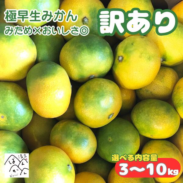 極早生みかん 訳あり 3kg 5kg 10kg 中玉 2S-L みため× おいしさ◎ミカン 果物 フルーツ 蜜柑 愛媛県産【送料無料※北海…