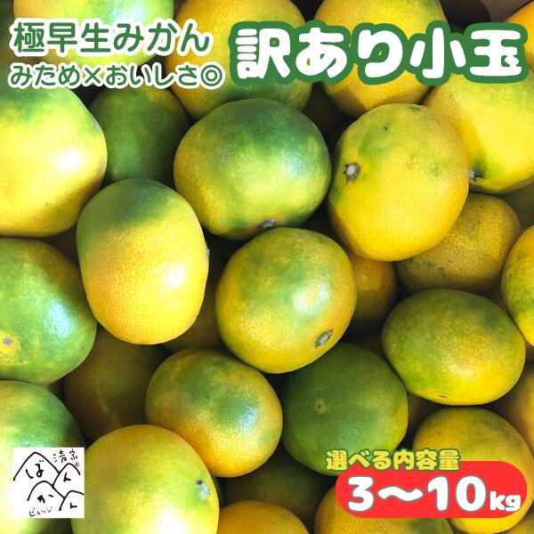 小玉 極早生みかん 訳あり 3kg 5kg 10kg 3S-S みため× おいしさ◎ミカン 果物 フルーツ 蜜柑 愛媛県産【送料無料※北海…