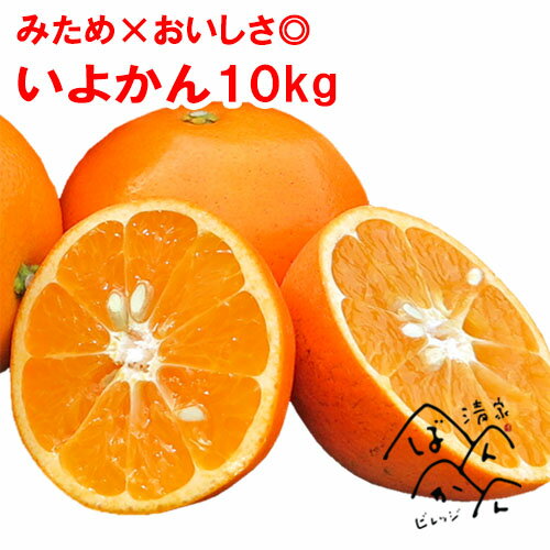 伊予柑 訳あり10kg L-4L いよかんでイイヨカン♪ 甘い柑橘 果物 フルーツ 熟 お取り寄せ 産地直送 愛媛県愛南町産【送料無料※北海道・沖縄は除く】