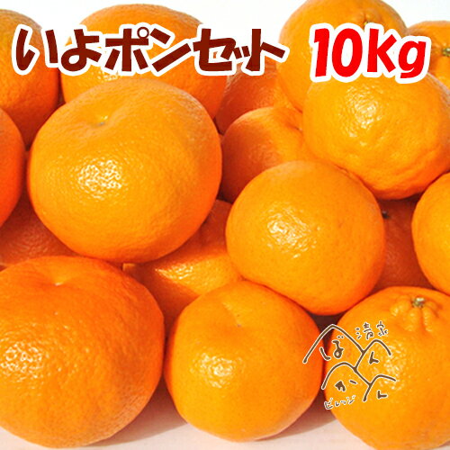 いよポンセット10kg いよかん5kg ポンカン5kg 甘い柑橘 熟 果物 フルーツ お取り寄せ 産地直送 愛媛県愛南町産 宇和島産【送料無料※北海道・沖縄は除く】
