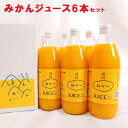 みかんジュース 1L 6本入り 愛媛県産【贅沢な果汁100％】【送料無料】