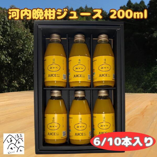 河内晩柑ジュース200mlギフト箱...