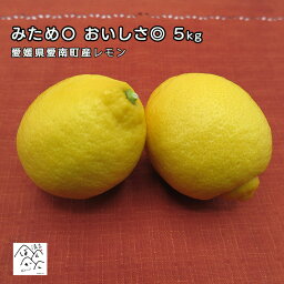 愛媛県産 レモン 5kg みため〇おいしさ◎ ギフト 【秀品】お取り寄せ 産地直送 アレンユーレカレモン・リスボンレモン・マイヤーレモン・りのか【防腐剤・ワックス不使用】【送料無料※北海道・沖縄は除く】