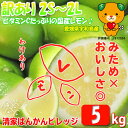 国産 家庭用・訳ありレモン 5kg【送料無料】みため×おいし...