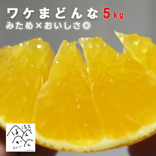 【予約】ワケまどんな 5kg 訳あり L-4L プルプル食感♪ 愛果28号【紅マドンナと同品種】みため× おいしさ◎ 産地直送 フルーツ 熟 甘い果物 柑橘 みかん 家庭用 愛媛県産【送料無料＊北海道・沖縄は除く】