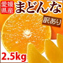 お試しくださいプルプル食感♪宇和島まどんな2.5kg 訳あり【紅マドンナと同品種】愛果28号 フルーツ 果物 柑橘 みかん 家庭用 産地直送 愛媛県産【送料無料＊北海道・沖縄は除く】みため×おいしさ◎ 清家ばんかんビレッジ