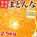 プルプル食感♪宇和島まどんな お歳暮用2.5kg 12玉/1...