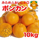 【ポンカン家庭用/少し訳あり中玉10kg】M・Lサイズ別 みため△おいしさ◎ 送料無料【愛媛県愛南町...