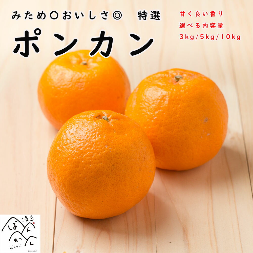 ポンカン 愛媛県産【秀品】ギフト 3klg/5kg/10kg M/L/2Lサイズ別 みため〇おいしさ◎ 甘く良い香り！美味しいみかん 熟 果物 フルーツ 産地直送【送料無料※北海道・沖縄は除く】 清家ばんかんビレッジのサムネイル