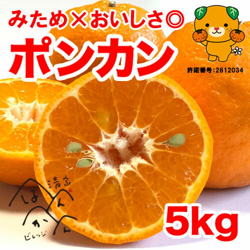 ポンカン 5kg 訳あり みため×おいしさ◎ 甘い柑橘 熟 果物 フルーツ お取り寄せ 産地直送 愛媛県愛南町・宇和島産【送料無料※北海道・沖縄は除く】清家ばんかんビレッジ