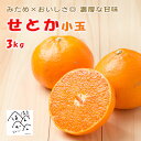 せとか 訳あり3kg 小玉S-M みため×おいしさ◎ お買得品 箱買い お取り寄せ 産地直送