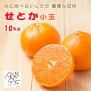 せとか 訳あり10kg 小玉「5kg×2箱」みため×おいしさ◎ お買得品 箱買い お取り寄せ 産地直送