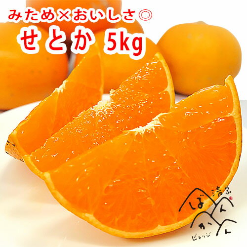 せとか 訳×訳 規格外品 3kg 5kg 10kg みため××おいしさ◎ 濃厚な甘味でとろける果肉 お買得品 産地直送セール【送料無料※北海道・沖縄は除く】...