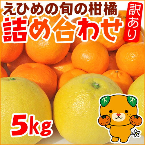 旬の柑橘詰め合わせ 訳あり5kg みため× おいしさ◎ 愛媛県産【当店おまかせ！3種類以上の柑橘が入ります】土佐文旦/せとか/清見/なつみ/ブラッドオレンジ/甘夏/河内晩柑【送料無料】