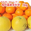 『旬の柑橘詰め合わせ 家庭用/少し訳あり5kg』中玉〜大玉 みため△おいしさ◎ 愛媛県産【当店おまかせミカン！必ず3種類以上が入ります】【送料無料※北海道・沖縄は除く】