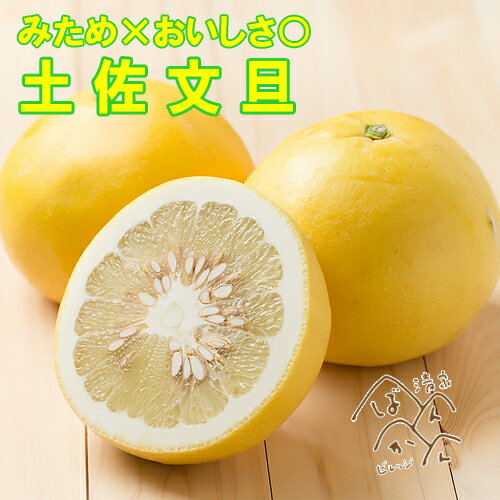 土佐文旦 訳あり 10kg 小玉 M S サイズ みため×おいしさ◎ 甘い 追熟 箱買い お取り寄せ 産地直送 セール 愛媛県愛南町産【送料無料※北海道・沖縄は除く】のサムネイル