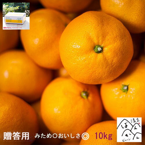 お歳暮 みかん10kg 「5kg×2箱」みため〇 おいしさ◎ 中玉 ギフト 贈答用 お取り寄せ 産地直送 愛媛県産 (宮川早生/南柑20号/温州みかん」【送料無料】※北海道・沖縄は除く 清家ばんかんビレッジのサムネイル