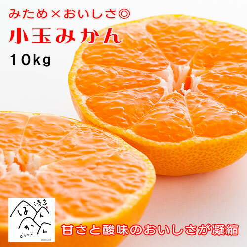 甘さと酸味のおいしさが凝縮 小玉みかん 訳あり 10kg（5kg×2箱）2S-S プチみかん みため×おいしさ◎ 愛媛県産【送料無料※北海道・沖縄は除く】早生みかん 南柑20号 産地直送 清家ばんかんビレッジのサムネイル