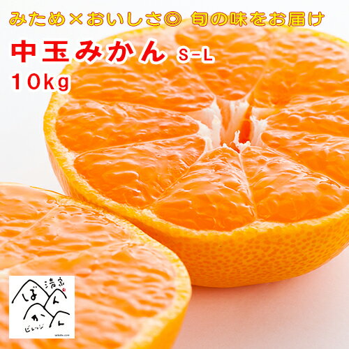 愛媛県産 みかん 訳あり 10kg 中玉 S-L みため×おいしさ◎ 早生みかん 南柑20号 甘いみかん お取り寄せ 産地直送【送料無料※北海道・沖縄は除く】清家ばんかんビレッジのサムネイル