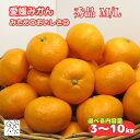 愛媛みかん 秀品 中玉 M・L サイズ別 みため〇 おいしさ◎ ギフト 贈答用 (宮川早生/南柑20号/温州みかん」甘いみかん 果物 フルーツ 蜜柑 愛媛県産【送料無料※北海道・沖縄は除く】清家ばんかんビレッジ