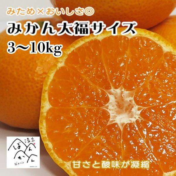 みかん大福サイズ 3S 小玉みかん 訳あり 早生ミカン・南柑20号 フルーツ 和菓子 業務用 セール 果物 甘..