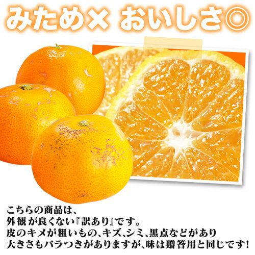 プチみかん 2.5kg 2S～S みため×おいしさ◎甘さと酸味のおいしさが凝縮 (南柑20号/宮川早生)愛媛県産みかん 小玉【送料無料】※北海道・沖縄は除く 清家ばんかんビレッジ