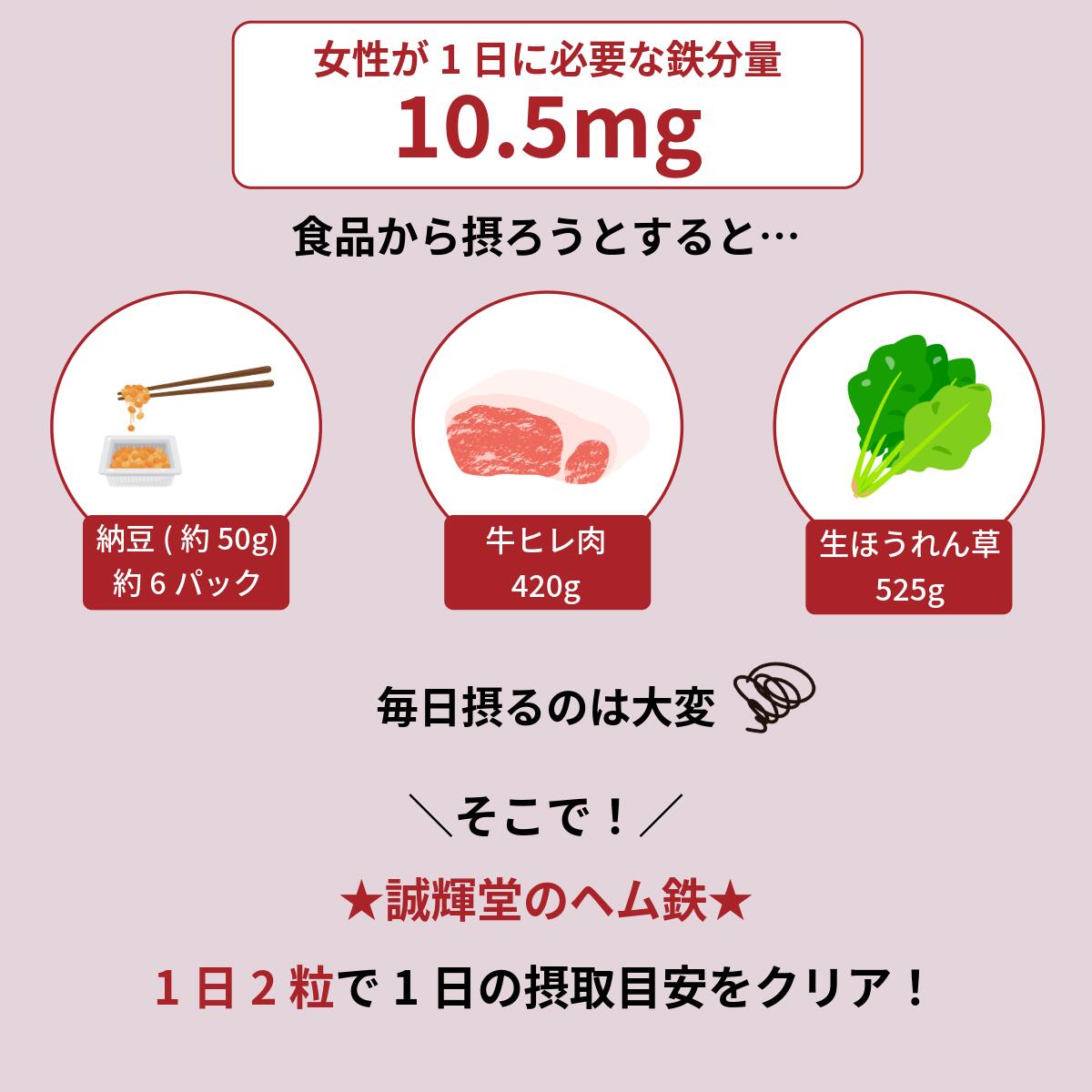 【9/4 20:00～ 先着限定半額クーポン！さらに20%OFFセール！】ヘム鉄 約1ヶ月分 (60粒入) 1日2粒で1日分の鉄分 鉄不足 女性 サプリメント 鉄分補給 ミネラル 元気 肌荒れ改善 鉄分 妊婦 亜鉛 銅 健康食品 送料無料 誠輝堂 seikido-10000277 サプリメントの誠輝堂 サンプル画像2