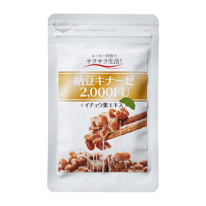 【60％OFF】＼売り尽くしセール／【賞味期限2024年2月】【納豆キナーゼ2000FU】ナットウキナーゼサプリ 送料無料 約1ヶ月分 60粒入 納豆菌 健康 生活習慣 ナットウキナーゼ ネバネバ成分でサラサラに イチョウ葉エキス ギンコライド めぐりをサポート 発行パワー