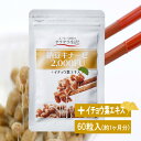 【納豆キナーゼ2000FU】ナットウキナーゼサプリ 送料無料 約1ヶ月分 60粒入 納豆菌 健康 生活習慣 ナットウキナーゼ イチョウ葉エキス ギンコライド めぐりをサポート ソフトカプセル