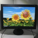 【中古】日本製 EIZO Radiforce RX430 ワイド液晶モニター 29.8インチ DVI/Displayport対応 高さ調整 縦回転【レビュー記入...