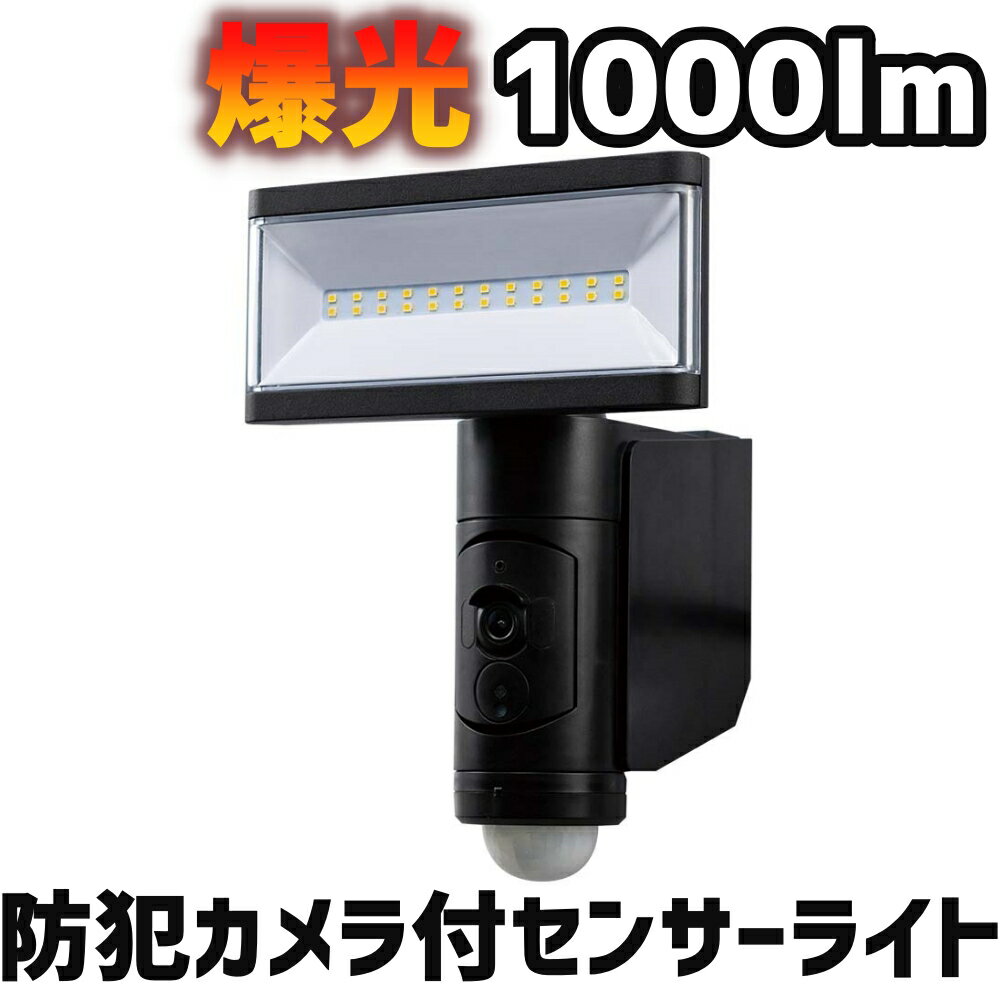 DXデルカテック 防犯カメラ付きLEDセンサーライト 1000lm 1灯タイプ DSLD10CC1　防犯に