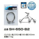 DXアンテナ製　ステーアンカ（4本入） SH-650-B2　在庫あり　メール便で送料無料