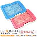 【ポイント10倍】 犬 トイレ トレー レギュラーサイズ ふちもれしにくい いたず ら防止 小型犬 中型犬 ペット トイレトレー メッシュ トイレトレーニング ...