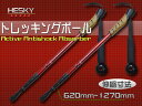 【ポイント10倍】【2本セット】レッド 04 トレッキングポ...