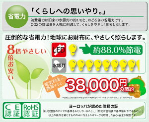 30WLED投光器白色6000K300W相当広角120°防水加工3Mコード付LEDライト昼光色クール色【野外灯看板灯集魚灯作業灯駐車場灯照明アウトドアナイター多用途】