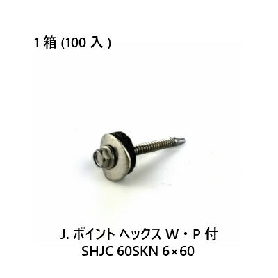 J.ポイント　ヘックスW・P付　SHJC　60SKN　6×60