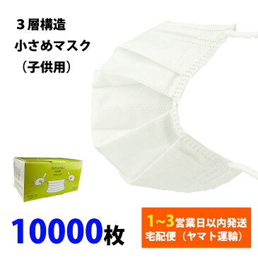 マスク 小さめ 10000枚入り 子供用 在庫あり 箱 不織布 使い捨て 3層構造フィルタ 普通サイズ 白色 飛沫感染 ウイルス インフルエンザ 風邪 対策