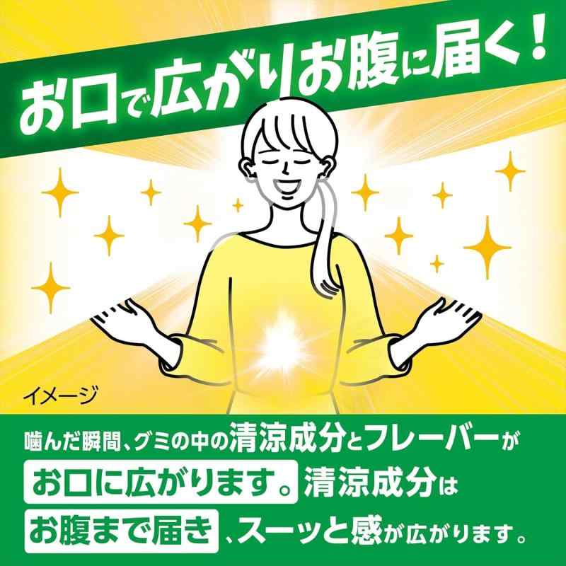 ブレスケア 噛む 息リフレッシュグミ アソート パウチタイプ 100粒