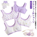 ブラジャー4枚&ショーツ4枚セット!ブラ ジュニア キッズ パッドなし 綿 ブラショーツセット ジュニアブラ ブラトップ スポーツブラ 女の子 小学生 中学生 ...