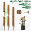 3本セット ココスティック モンステラ 支柱 ココナッツ おしゃれ 園芸支柱 ポトス 植物支柱 ガーデン 蔓 花ささえ 連結 延長 木製 ココナッツ支柱 支え ...