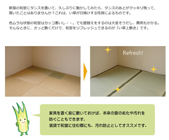 【送料込※一部地域を除く】い草 6畳 上敷き カーペット国産「 草津 」サイズ：本間6畳（286×382cm)(#1110686)上敷 上敷き 畳上敷き 畳 い草 イ草 いぐさ ござ い草 ラグ