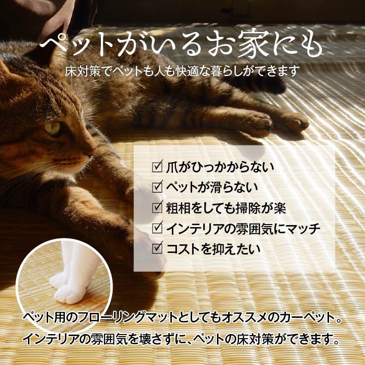 【送料込※一部地域を除く】洗える PPカーペッ...の紹介画像3