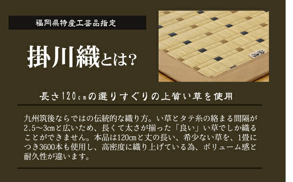 【送料込※一部地域を除く】純国産 掛川織 い草カーペット「 スウィート 」江戸間8畳（約348×352cm)い草 ラグ カーペット 掛川織 純国産 モダン 抗菌 防臭 3