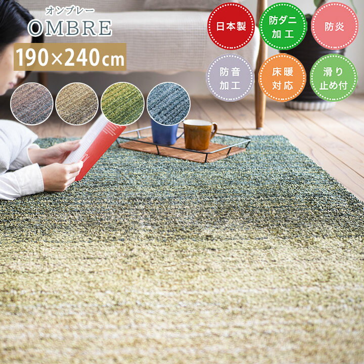 樂天商城 - ラグ OMBRE オンブレー[sn] Lサイズ(約3畳):190×240cm カーペット 日本製 3畳 防音 防炎 床暖房対応 ホットカーペットカバー 防ダニ すべり止め ナイロン 無地 スミノエ