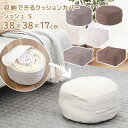 送料無料 クリックポスト発送 収納できるクッションカバー シュシュ Sサイズ 幅38×奥行38×高さ17cm クッションカバー 丸 四角