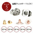 キャッチ 5ペア 10個入り 金属アレルギー対応 サージカルステンレス 母の日